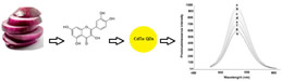 Article: Quercetin Determination in Dietary Supplement and in Onion Peel Extracts using a Photoluminescent 3-mercatpopropionic acid (3MPA) CdTe Quantum Dots Analytical Probe