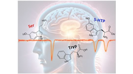 Article: Simultaneous Determination of Tryptophan and 5-hydroxytryptophan in Dietary Supplements using Capillary Zone Electrophoresis and Capacitively Coupled Contactless Conductivity Detection