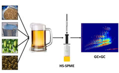 Article: Multivariate Optimization of a HS-SPME+GC×GC-MS Procedure to Determine Fingerprints of the Volatile Fraction of Lager Beers