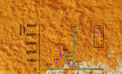 Article: Incrustations Formed in Bioelectricity Turbogenerators: An Advanced Evaluation Using Energy Dispersive X-Ray Fluorescence (ED-XRF) and Exploratory Analysis
