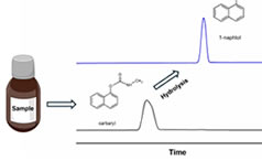 Article: Simple and Fast Determination of Carbaryl Pesticide in Commercial Topical Formulations by Capillary Electrophoresis