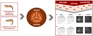 Technical Note: Fractionation and Spatial Distribution Analysis of Trace Elements in Wild and Farmed Shrimp from Northeast Brazil