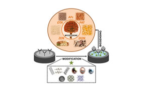 Review: Metallic Nanoparticles and Carbon-Based Materials for the Fabrication of Electrochemical Biosensors aiming the Mycotoxin Analysis in Food