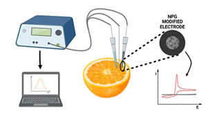 Article:  Fabrication of an Electrochemically Synthesized Nanoporous Gold Electrode for In-Situ Ascorbic Acid Determination in Fruit Samples