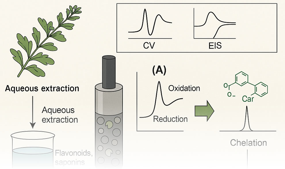 Article: Development of an Electrochemical Sensor for the Treatment of Scaling in the Presence of Herniaria hirsuta