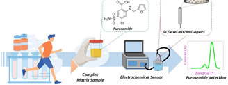 Article: Sustainable Engineering of a Surfactant-Free Nanocomposite Based on Bacterial Nanocellulose Produced from Beer Waste and MWCNTs-AgNPs for Electrochemical Sensing of Furosemide