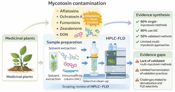 Review: HPLC-Based Analytical Methods for the Determination of Mycotoxin Contaminants in Medicinal Plants: A Scoping Review