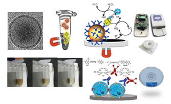 Review: Electrochemical Biosensing of Exosomes. From Separation Strategies to Clinical Diagnostics